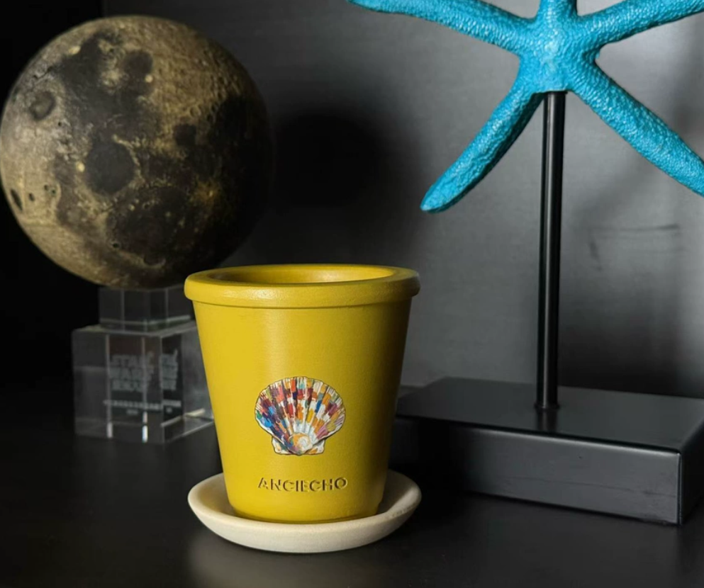 Yellow Seashell Ceramic Planter Pot