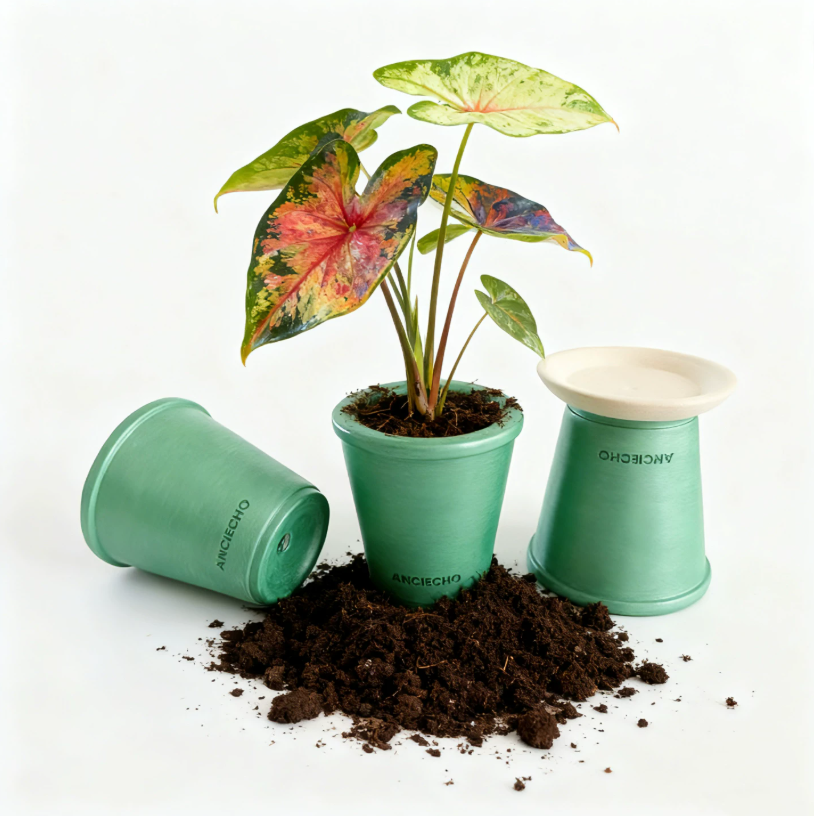 Emerald City Ceramic Planter Pot