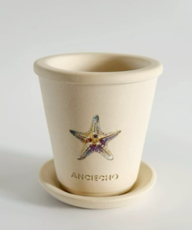 Starfish Ceramic Planter Pot