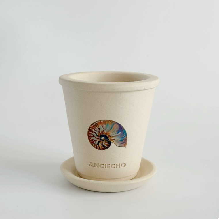 Aegean Shell Ceramic Planter Pot