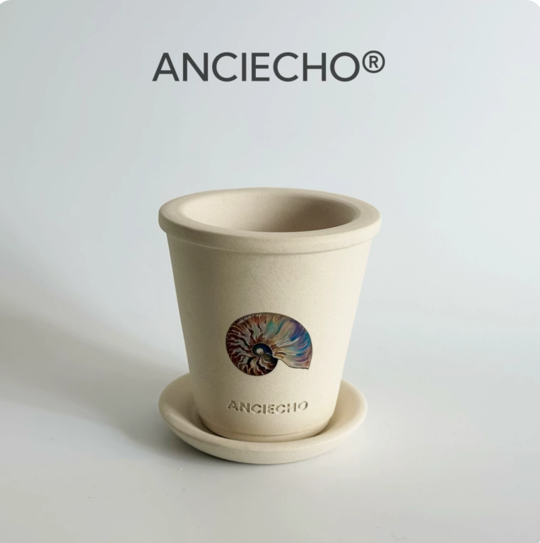 Aegean Shell Ceramic Planter Pot